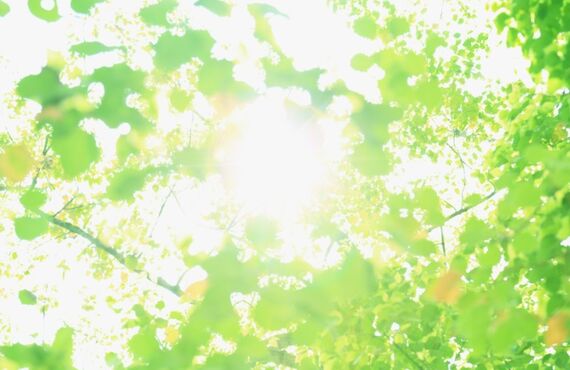 銀の詰め物を白くする治療を専門的に行っている調布市仙川駅からすぐの柳沢歯科医院